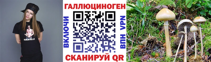 Псилоцибиновые грибы GOLDEN TEACHER  Шиханы 